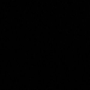 Meet your Posher, Bella